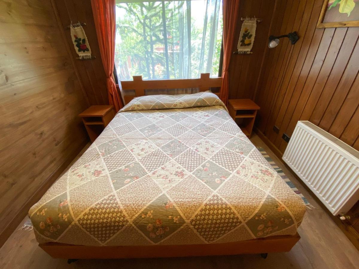 Hostal El Nogal Пукон Экстерьер фото
